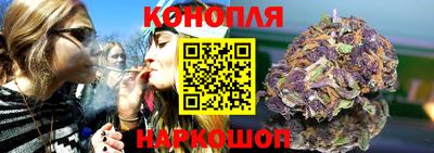крисы Краснодар