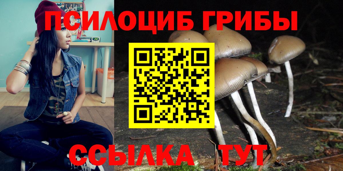 Галлюциногенные грибы Psilocybe Карталы